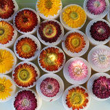 cera soja flor cerejeira varios cima