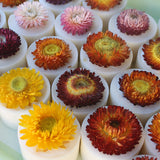 cera soja flor cerejeira varios