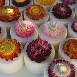 cera soja flor cerejeira varios