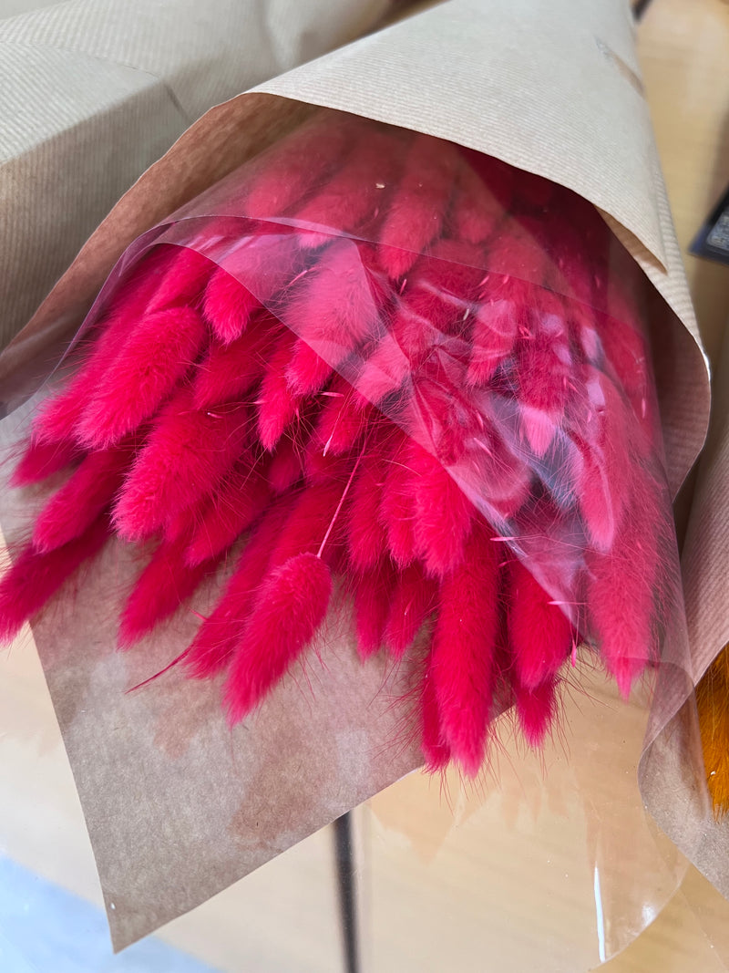 Flores secas - Lagurus