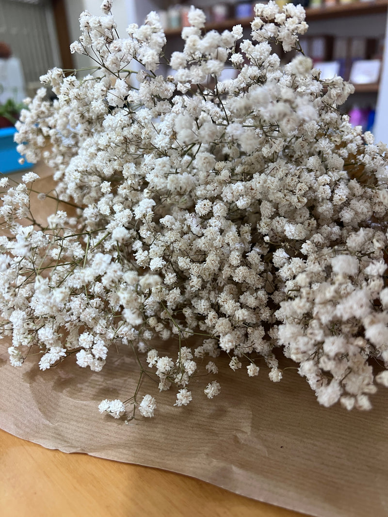 Flores secas - Gipsofila