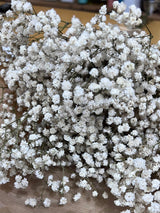 Flores secas - Gipsofila