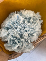 Flores Secas - Hydrangea/Hortência