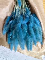 Flores secas - Lagurus