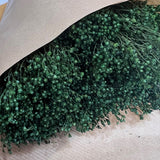 Flores secas - Broom bloom Natural - Atelier do Sabão