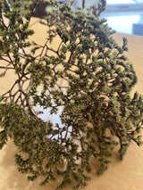 Flores Secas_ Statice_Atelier do Sabão