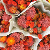 Flores Secas - Bouquet Firelight - Atelier do Sabão