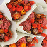 Flores Secas - Bouquet Firelight - Atelier do Sabão