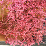 Flores Secas_ Statice_Atelier do Sabão