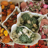 Flores Secas - Bouquet Delighted Rust - Atelier do Sabão