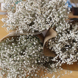 Gipsofila_-_Flores_Secas_-_Atelier_do_Sabao