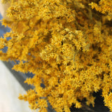 Flores Secas_ Statice_Atelier do Sabão