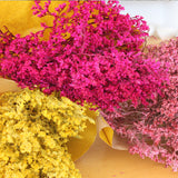 Flores Secas_ Statice_Atelier do Sabão