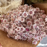 Flores secas - Marcela 