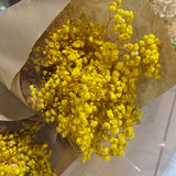 Gipsofila_-_Flores_Secas_-_Atelier_do_Sabao