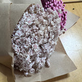 Flores Secas - Glixia