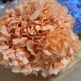 Hidrangea_Flores Secas_Atelier do Sabão