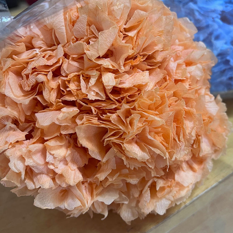 Hidrangea_Flores Secas_Atelier do Sabão