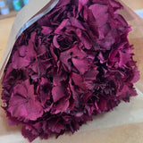  Hydrangea_Hortência - Flores secas - Atelier do Sabão