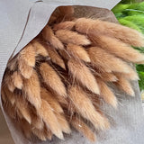 Flores secas - Lagurus