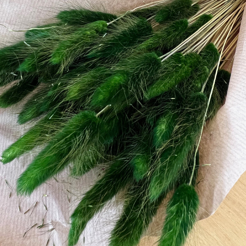 Flores Secas - Lagurus Laranja - Atelier do Sabão