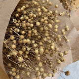 Flores secas - Linum _Atelier do Sabão