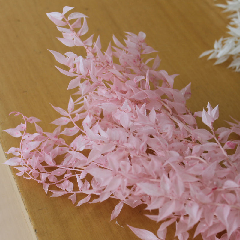 RUSCUS - Flores secas - - Atelier do Sabão