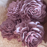 SOLA_FLORES_SECAS_ATELIER DO SABAO