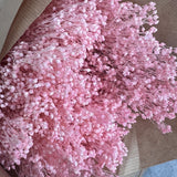 Flores secas - Broom bloom Natural - Atelier do Sabão