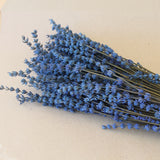 Alfazema Preservada - Azul extra - Atelier do Sabão
