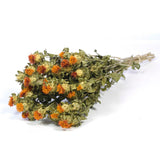 Cartamus Natural Laranja - Flores secas - Atelier do Sabão