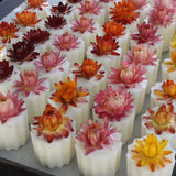 Cera de Soja Perfumada - Aroma a Flor de Cerejeira