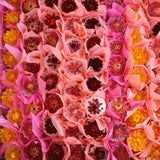 Cera de Soja Perfumada - Aroma a Flor de Cerejeira