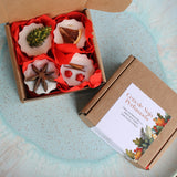 Cera de Soja para Queimadores- Edição Especial de Natal - Bagas de Natal - Atelier do Sabão