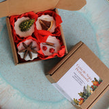 Cera para Queimadores -  Bagas de Natal