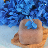 champo solido chocolate edicao especial