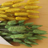 Flores secas - Lagurus - Atelier do Sabão