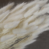 Lagurus natural branco - Flores secas - Atelier do Sabão