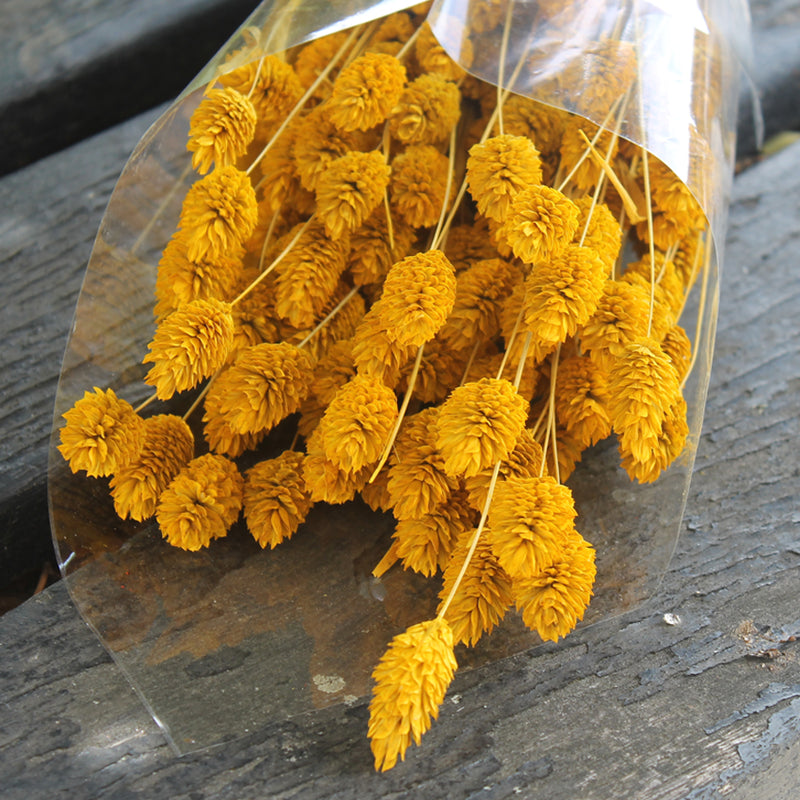 Phalaris amarelo - Flores secas - Atelier do Sabão