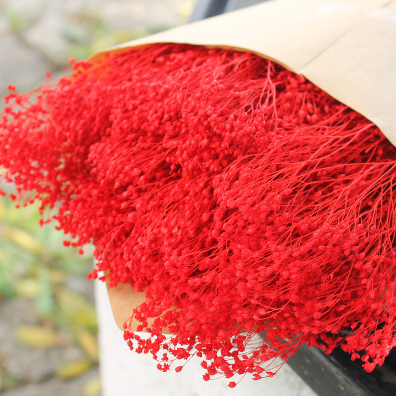 Flores secas - Broom bloom Natural - Atelier do Sabão