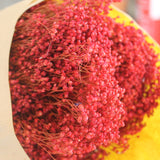 broom bloom rosa - flores secas - Atelier do Sabão