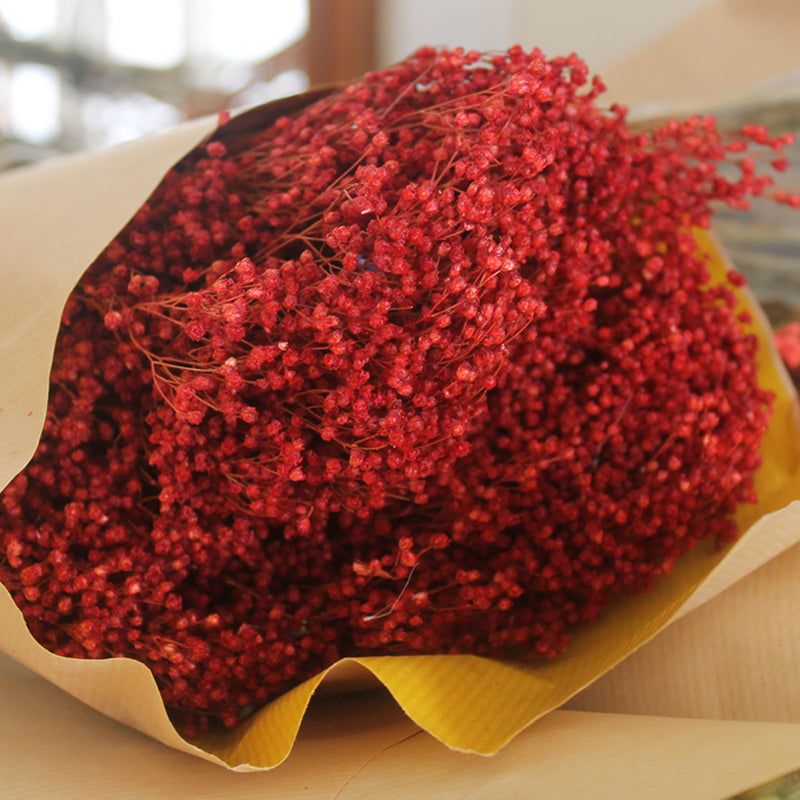 broom bloom vermelho - flores secas - Atelier do Sabão